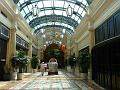 Wynn  P1020797